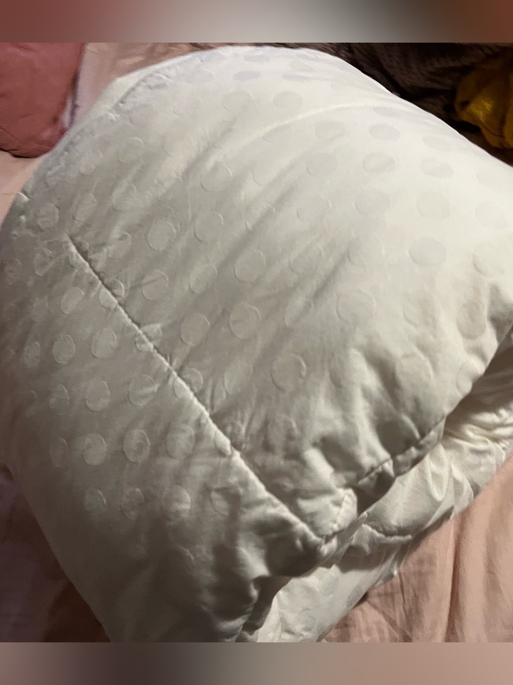 Restoration Hardware ~ Dot-Pattern Comforter~ Cotton ~ Twin